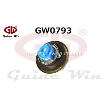 Automobile Gas Cap for Ford